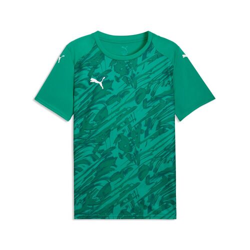 Puma teamFINAL Graphic Jersey - Sport Green-PUMA White-Power Green