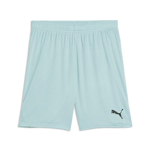 Puma teamGOAL Shorts - Modern Mint
