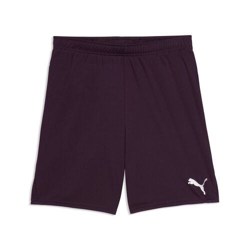 Puma teamGOAL Shorts - Midnight Plum-PUMA White