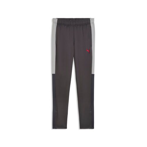 Puma IndividualLIGA Training Pants - Strong Gray-PUMA Red-Gray Echo
