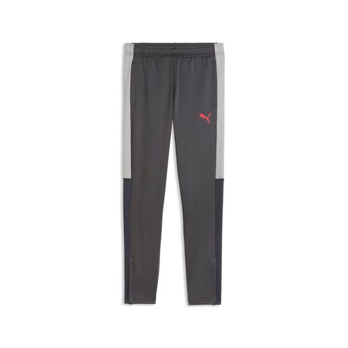 Puma IndividualLIGA Training Pants Jr - Strong Gray-PUMA Red-Gray Echo
