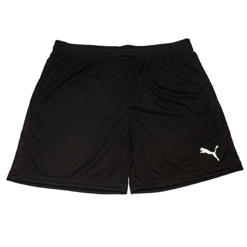 Puma TeamGOAL 23 Knit Shorts kurze Hose Sporthose schwarz 704379-03