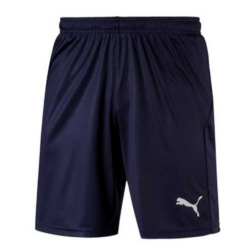 Puma Liga Shorts Core kurze Herren Hose Sporthose Trainingshose blau 703436-06