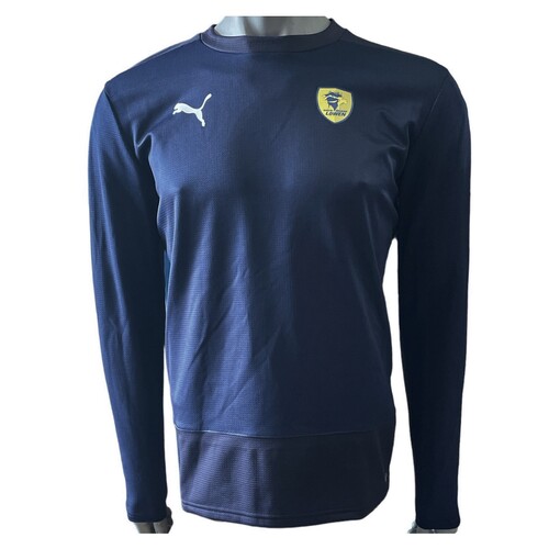 Puma Rhein Neckar L�wen RNL TeamGOAL 23 Training Sweatshirt Herren LS Longsleeve blau 656478-06