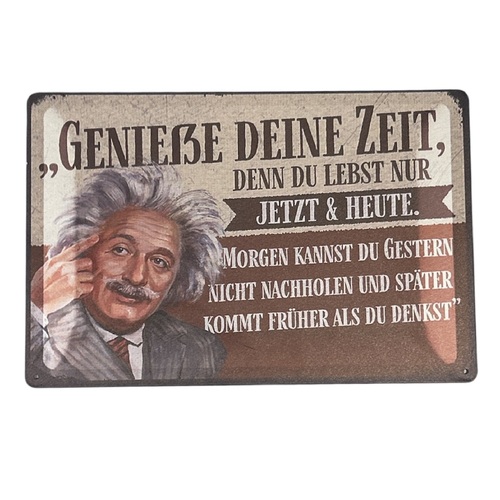 Deko Blechschild ALBERT EINSTEIN - Genie�e deine Zeit... Schild Spruch 30x20cm B-Ware