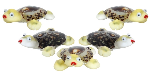 Magnet Schildkr�te - lustige Magnete aus Muscheln  - 5 St�ck im Set