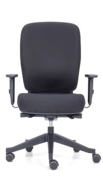 Ergonomischer B�rostuhl | Bandscheibensitz | Lordosenst�tze