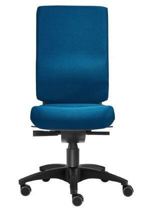 B�rostuhl | Drehstuhl | Bandscheiben-Sitz | Lordosenst�tze