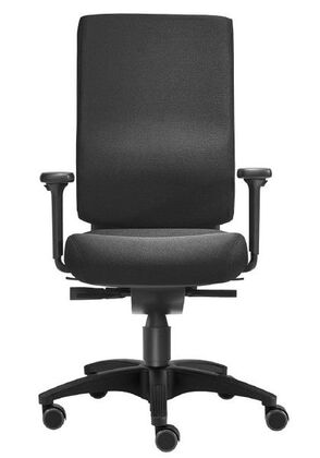 B�rostuhl | Bandscheiben-Sitz | Armlehne | Lordosenst�tze 