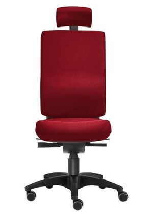 B�rostuhl | Bandscheiben-Sitz | Lordosenst�tze | Kopfst�tze 