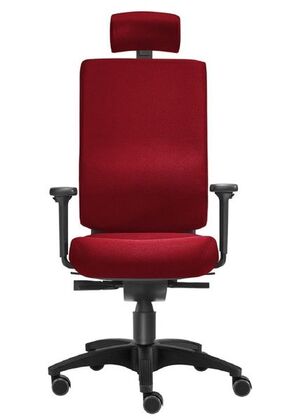 B�rostuhl Ergonomisch | Lordosenst�tze | Armlehne | Kopfst�tze 