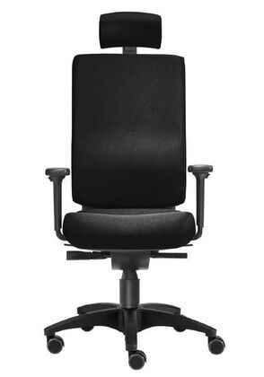 B�rostuhl Ergonomisch | Lordosenst�tze | Armlehne | Kopfst�tze 