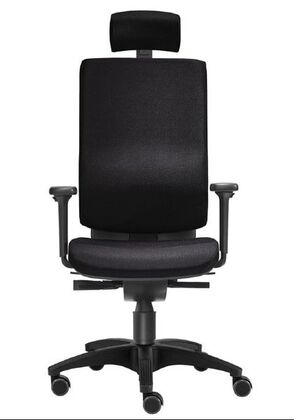 B�rostuhl | Komfort-Sitz | Lordosenst�tze | Kopfst�tze | Armlehne 