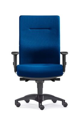 B�rostuhl | Lordosenst�tze | Bandscheiben-Sitz | 2D Armlehne