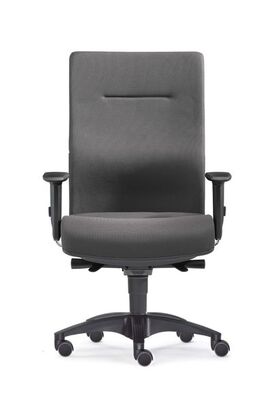 B�rostuhl | Lordosenst�tze | Bandscheiben-Sitz | 2D Armlehne 