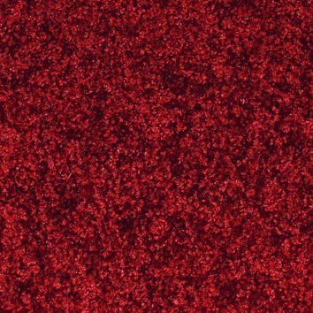 Schmutzfangmatte Innenbereich, Farbe nach Wahl 