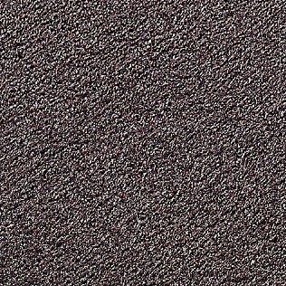 Schmutzfangmatte Innenbereich, verschiedene Gr��en & Farben 