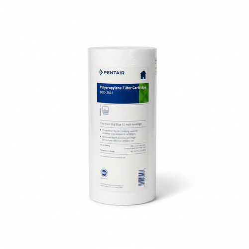 Pentair / Pentek DGD-2501 25/1 ?m 10 BigBlue 155359-43