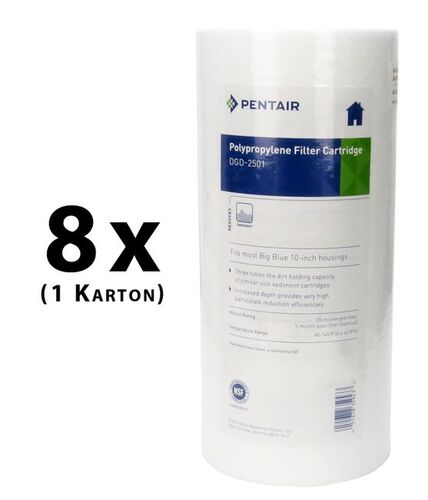 8x Pentair / Pentek DGD-2501 25/1 ?m 10 BigBlue 155359-43
