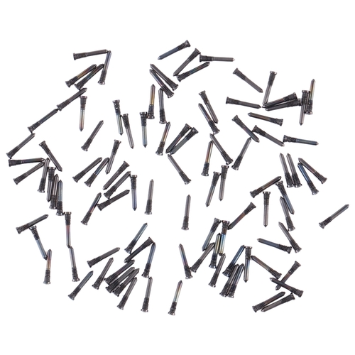 F�r Apple iPhone 11 / Pro / Max 100 Pcs. Ladebuchse Ersatzschrauben 