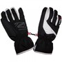 Zanier Ischgl ZX Ski Handschuhe