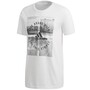 adidas Herren Baumwoll T-Shirt Tee