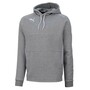Puma Hoodie M�nner mit offenen Seitentaschen und Rippenb�ndchen