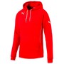 Puma Hoodie M�nner mit offenen Seitentaschen und Rippenb�ndchen
