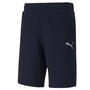 Puma kurze Hose Herren mit Taschen