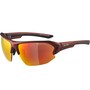Alpina Lyron HR Sportbrille f�r Damen und Herren mit 100% UV-Schutz