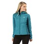 Regatta Softshelljacke Damen Arec II 2020