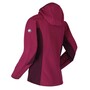 Regatta Softshelljacke Damen Arec II 2020