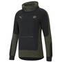 Puma Manchester City Evostripe Hoodie Herren