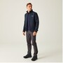 Regatta Softshelljacke Herren Cera V dauerhaft Wasserabweisend