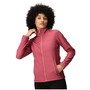 Regatta Softshelljacke Damen Connie V
