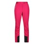 Regatta Outdoorhose Damen Mountain Trs III