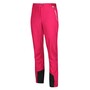 Regatta Outdoorhose Damen Mountain Trs III