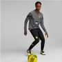 Puma BVB Borussia Dortmund Fanartikel Trainingsanzug