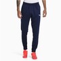 Puma Trainingsanzug f�r Herren DRYCELL Material