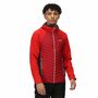 Regatta Hybrid Softshelljacke Herren Andreson VII