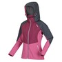 Regatta Softshelljacke Damen Desoto VIII mit Kapuze