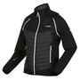 Regatta Steren Hybrid Softshelljacke f�r Damen mit abnehmbaren �rmeln