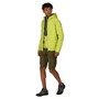 Regatta Hillpack Steppjacke fr Herren mit Kapuze