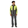 Regatta Tarvos VI Softshelljacke Herren mit Kapuze