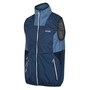 Regatta Weste Softshell Herren Lankin V