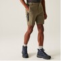 Regatta Mountain Shorts II Wanderhose f�r Herren