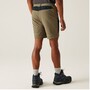 Regatta Mountain Shorts II Wanderhose f�r Herren