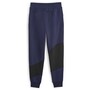 Puma Power Cat Jogginghose Herren