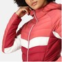 Regatta Harrock II Steppjacke / Winterjacke Damen mit Kapuze