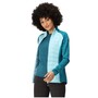 Regatta Clumber IV Hybrid Softshelljacke Damen